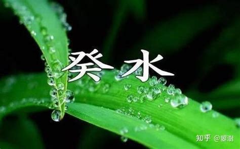 八字 葵水|癸水命